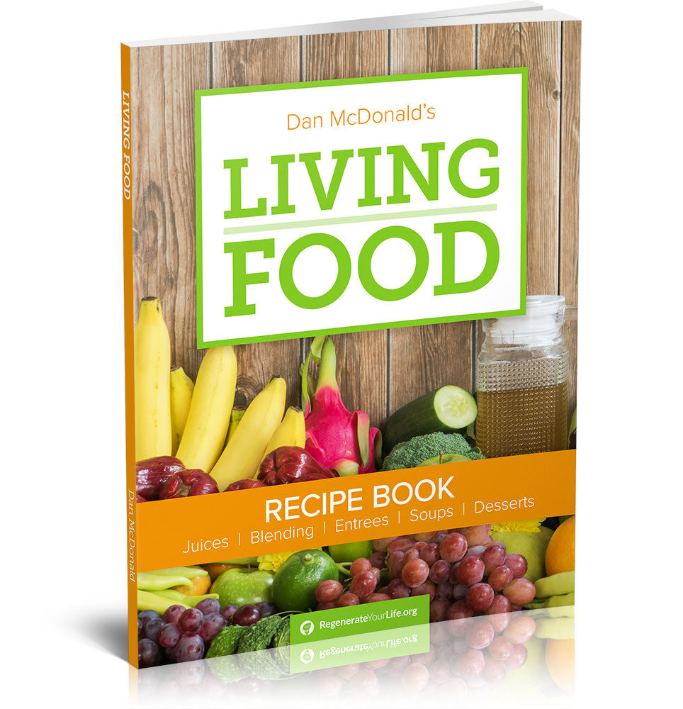 Living Food Recipe Book